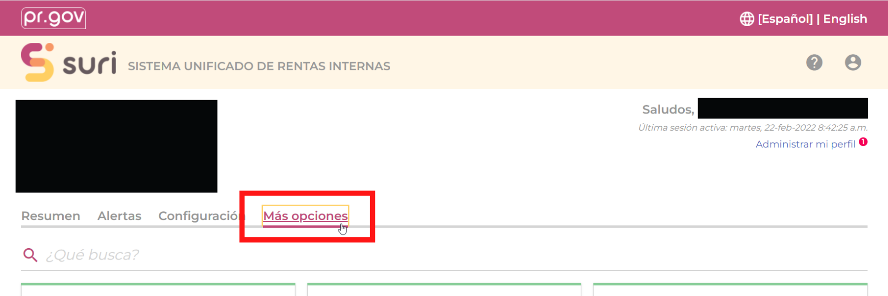 _Gracias__-_Newsletter__50_.png