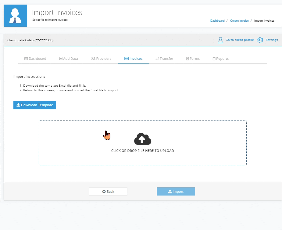 Import invoice excel.gif