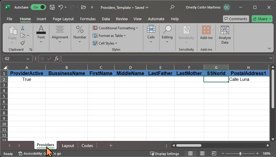 provider template excel.gif